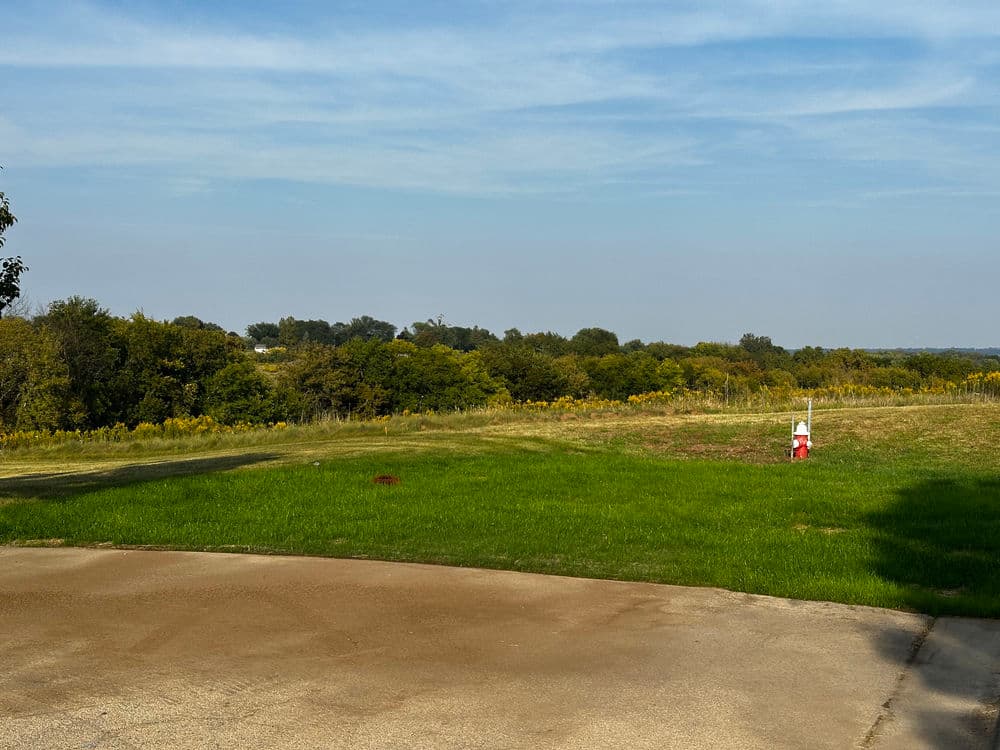 Lush green landscape with a road, trees, and a clear blue sky in the background.