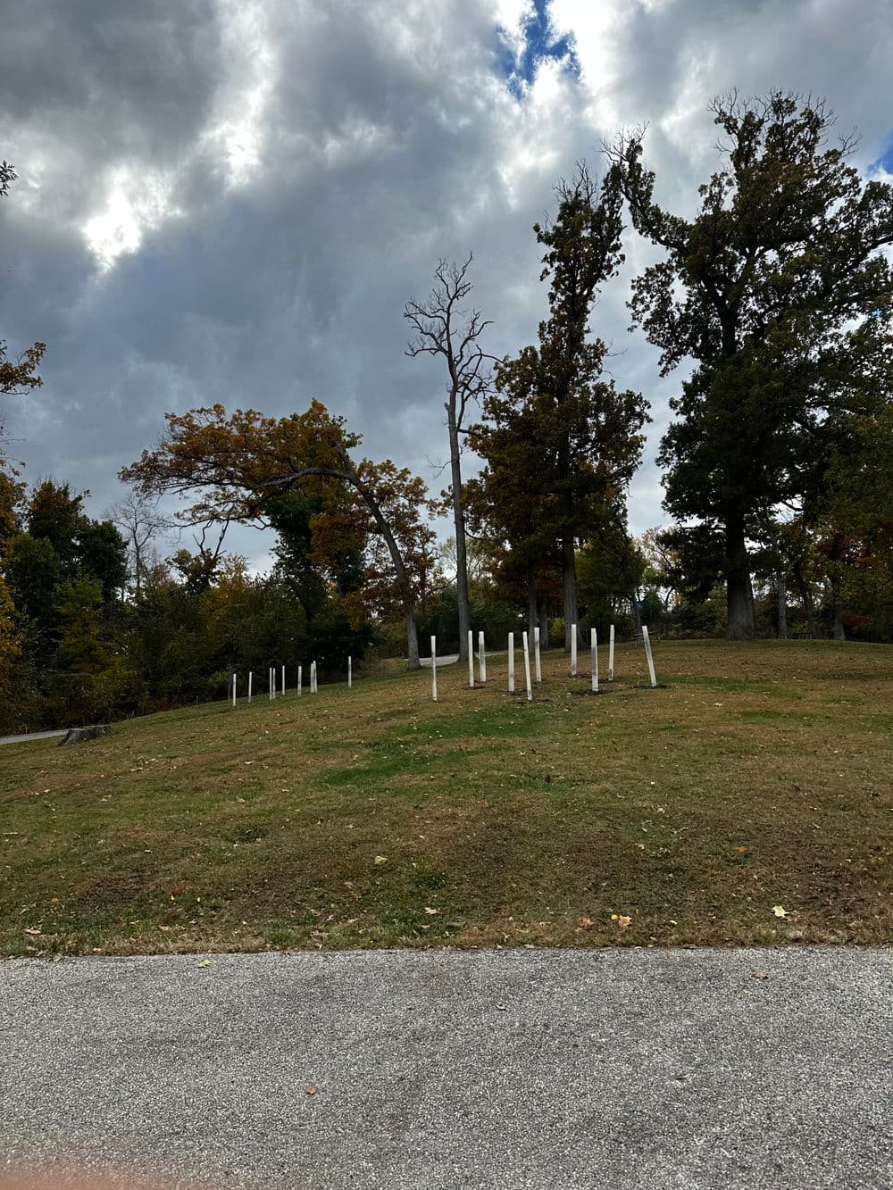 Grassy hill with white posts and trees under a cloudy sky in a park setting.