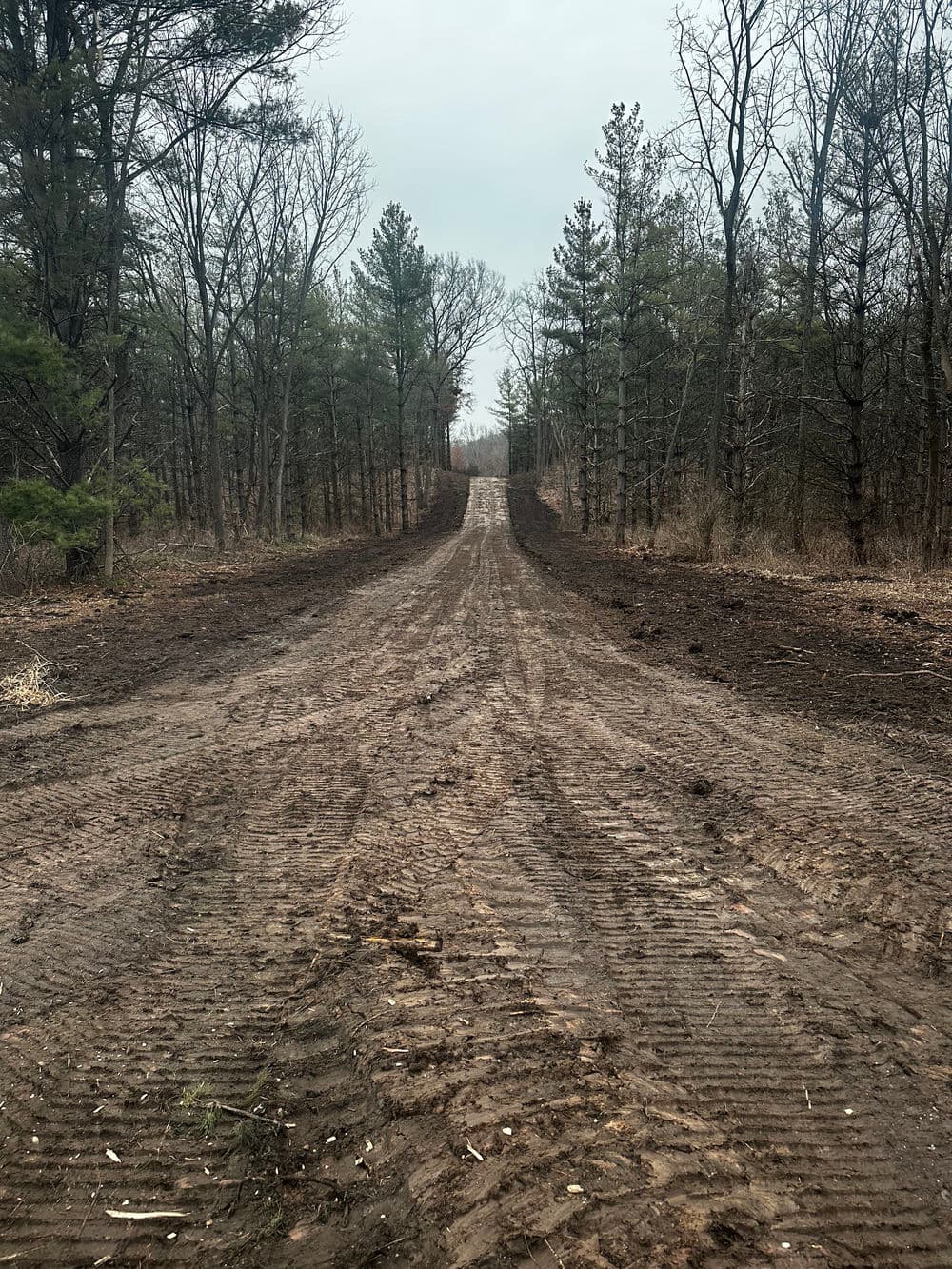 Dirt road through a wooded area with tire tracks amidst bare trees and overcast sky.