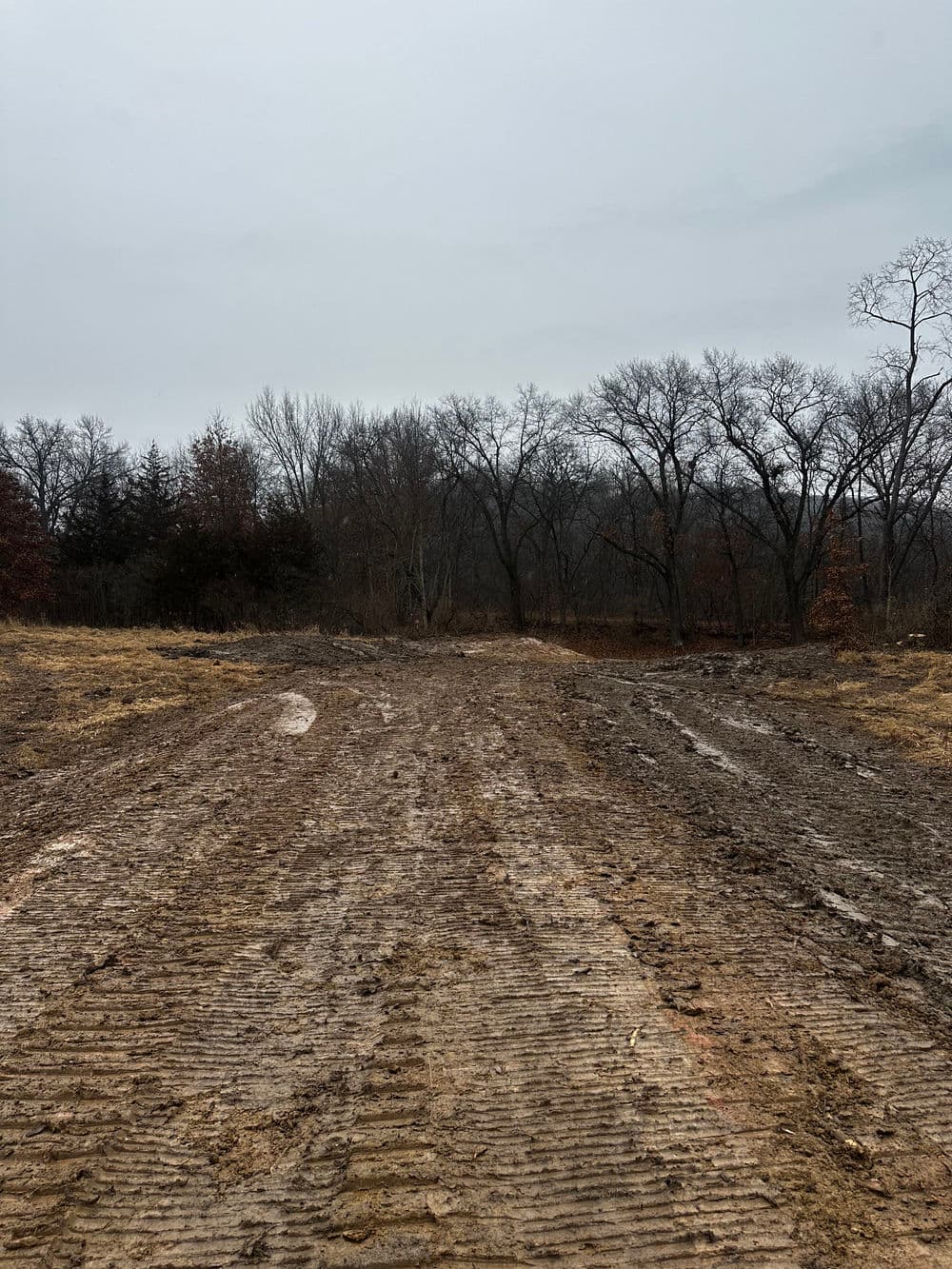 Cleared muddy land with tire tracks, surrounded by bare trees and overcast skies.