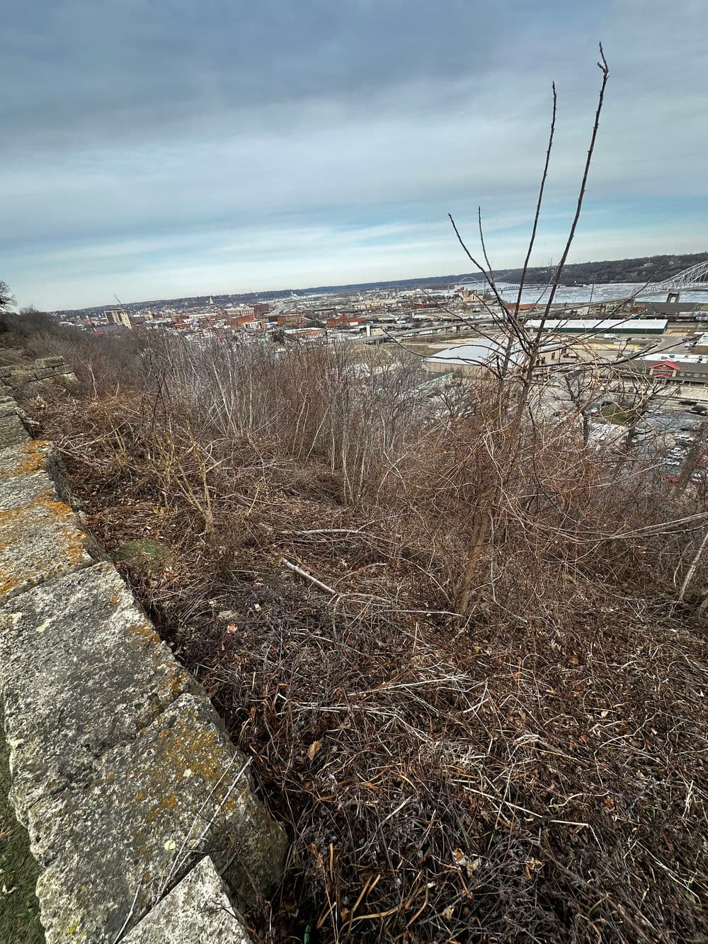 View of a city skyline from a rocky hillside with barren vegetation in the foreground.