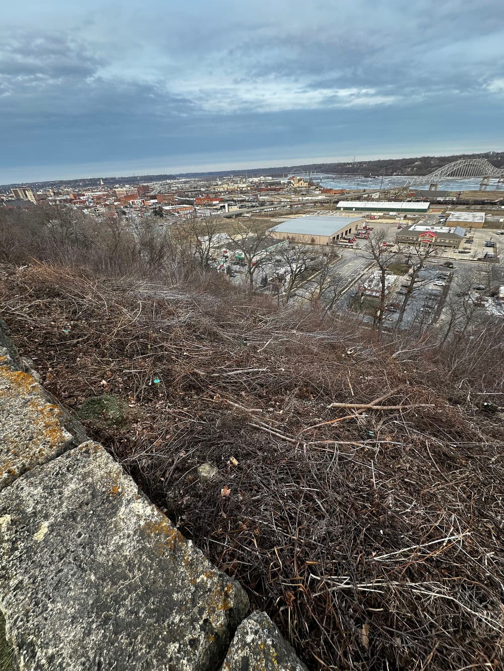 Panoramic view of a city landscape with a lake in the distance, overgrown hillside in foreground.