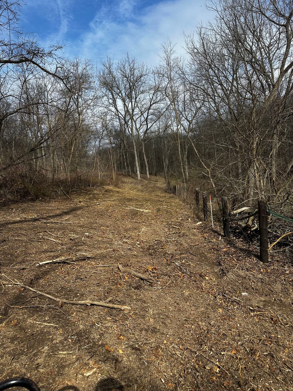 Cleared woodland path with bare trees and a rustic fence under a cloudy sky.